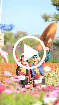 BIB:  <button type="button" onclick="openModal(27583525)" class="btn btn-primary btn-sm float-right" data-toggle="modal" data-target=".modal-high-quality">
                <i class="fa fa-download"></i> Download
                </button>